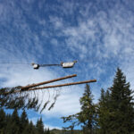Cable cranes for forestry: the technological frontier in the fight against bark beetles IMG 8423
