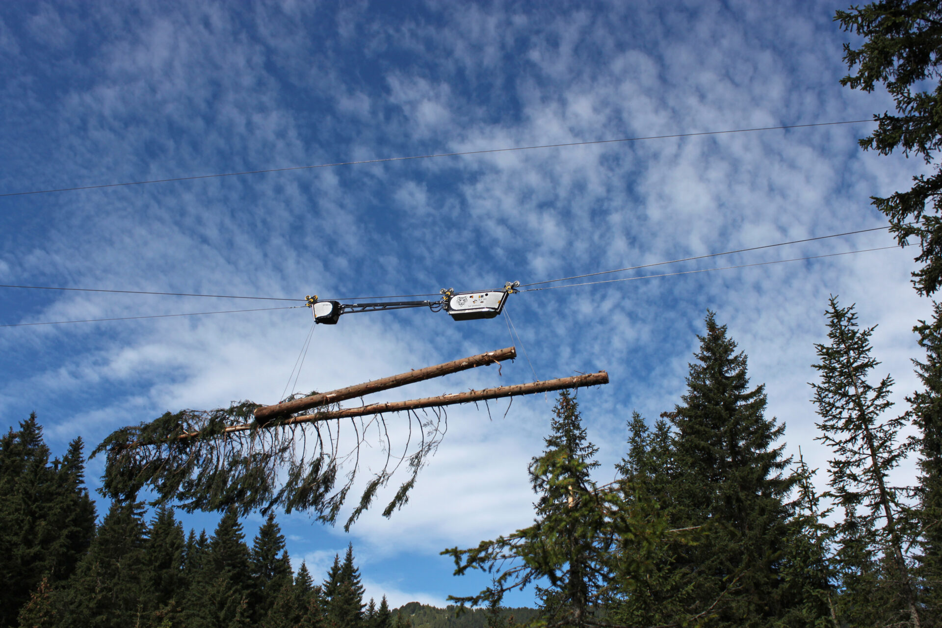 Cable cranes for forestry: the technological frontier in the fight against bark beetles 1 Cable cranes for forestry: the technological frontier in the fight against bark beetles IMG 8423